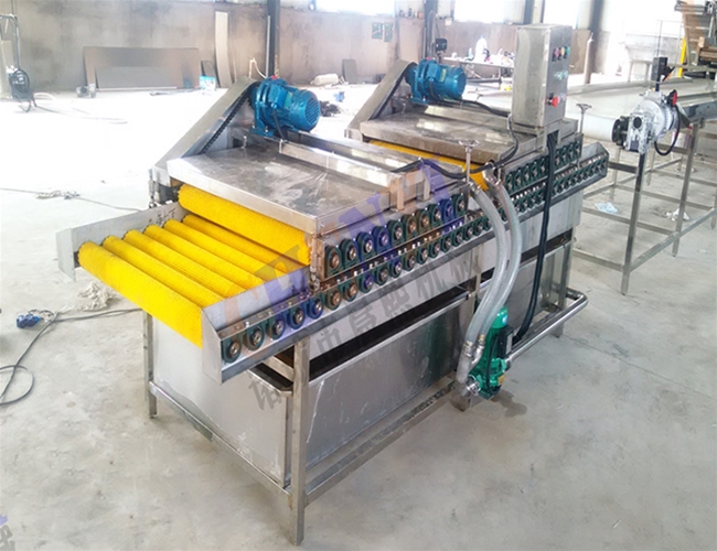 粽葉毛刷清洗機(jī)